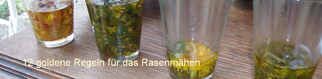 12 goldene Regeln fr das Rasenmhen 